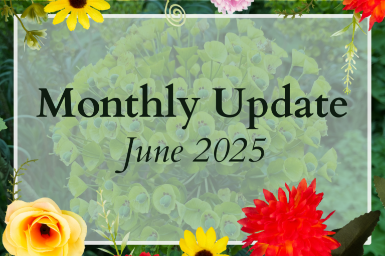 Monthly Update – June 2025