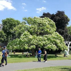 Visiting_Regents_Park_GettingThere