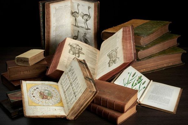 royal_physicians_exhibit