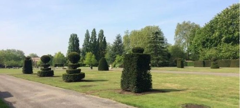 topiary